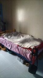 Blk 810 Tampines Polyview (Tampines), HDB 4 Rooms #456030611